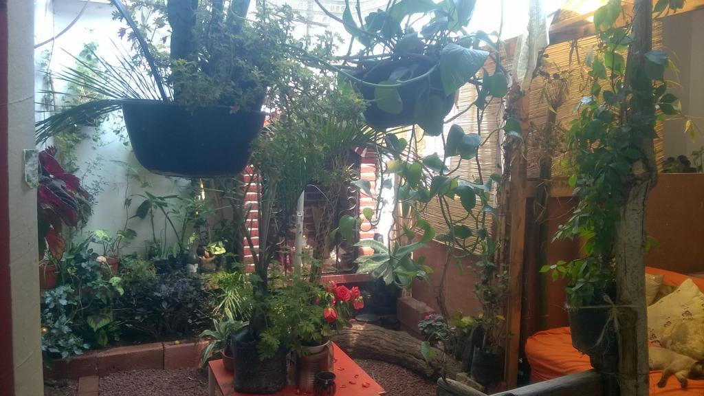 Natural Mystic Hostal Tepoztlan Luaran gambar