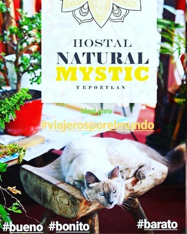 Natural Mystic Hostal Tepoztlan Luaran gambar
