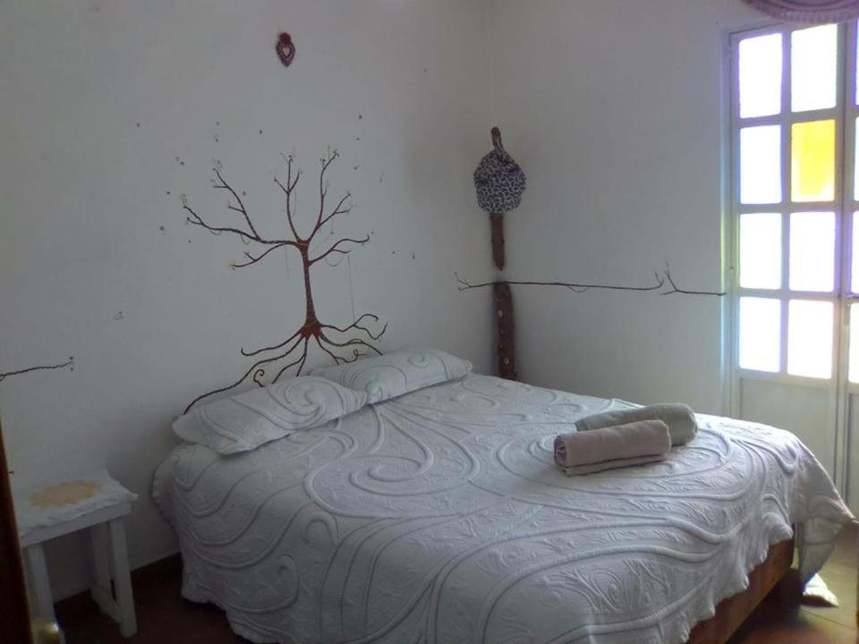 Natural Mystic Hostal Tepoztlan Luaran gambar