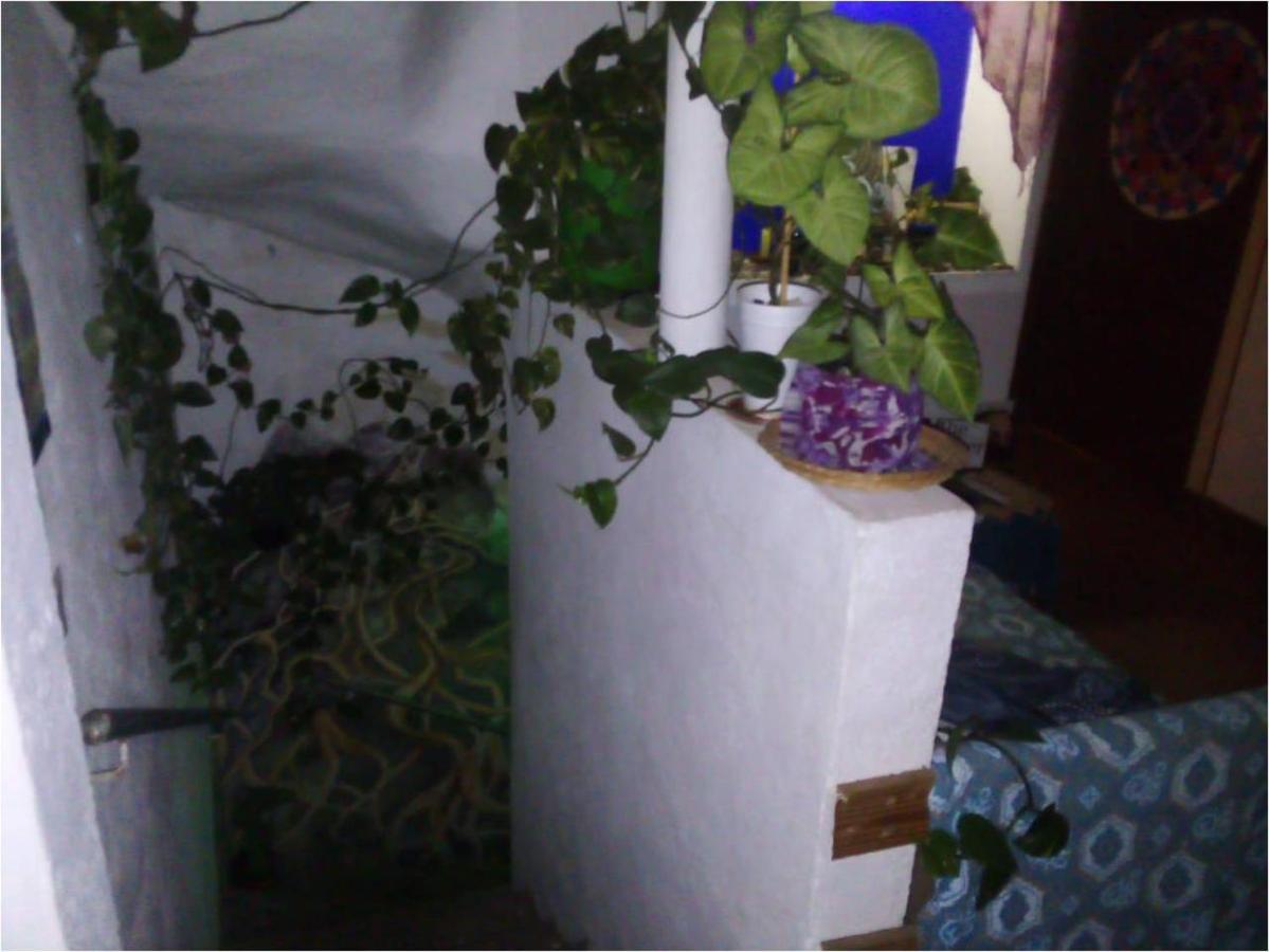 Natural Mystic Hostal Tepoztlan Luaran gambar